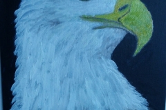 BaldEagle