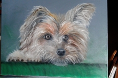Dog1