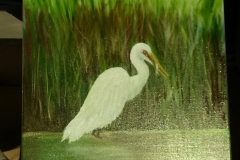 Egret1